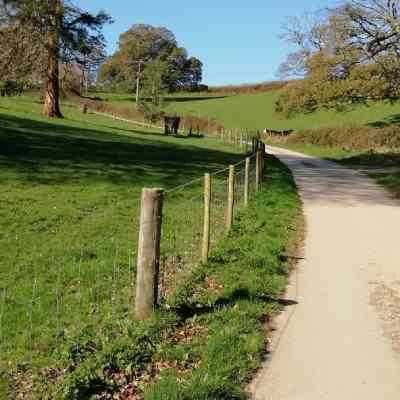 The lane up towards Trenant Park cottages