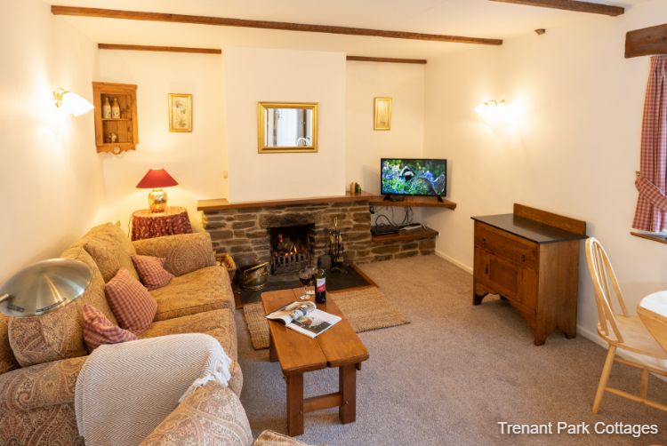 Lady Pamela's cottage lounge with open fire